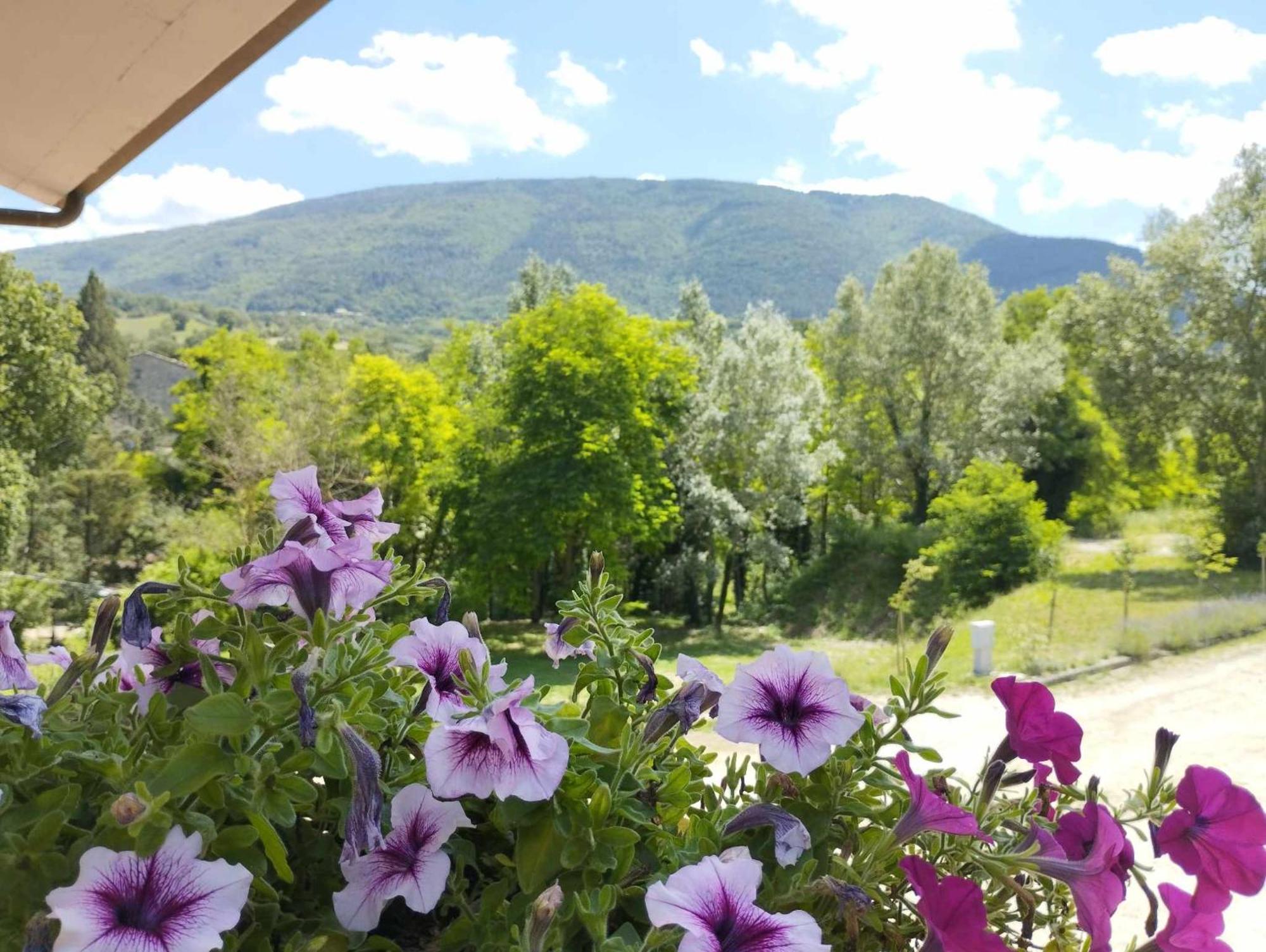 Pianpieve Nature & Relax Apartments Assisi Exteriör bild