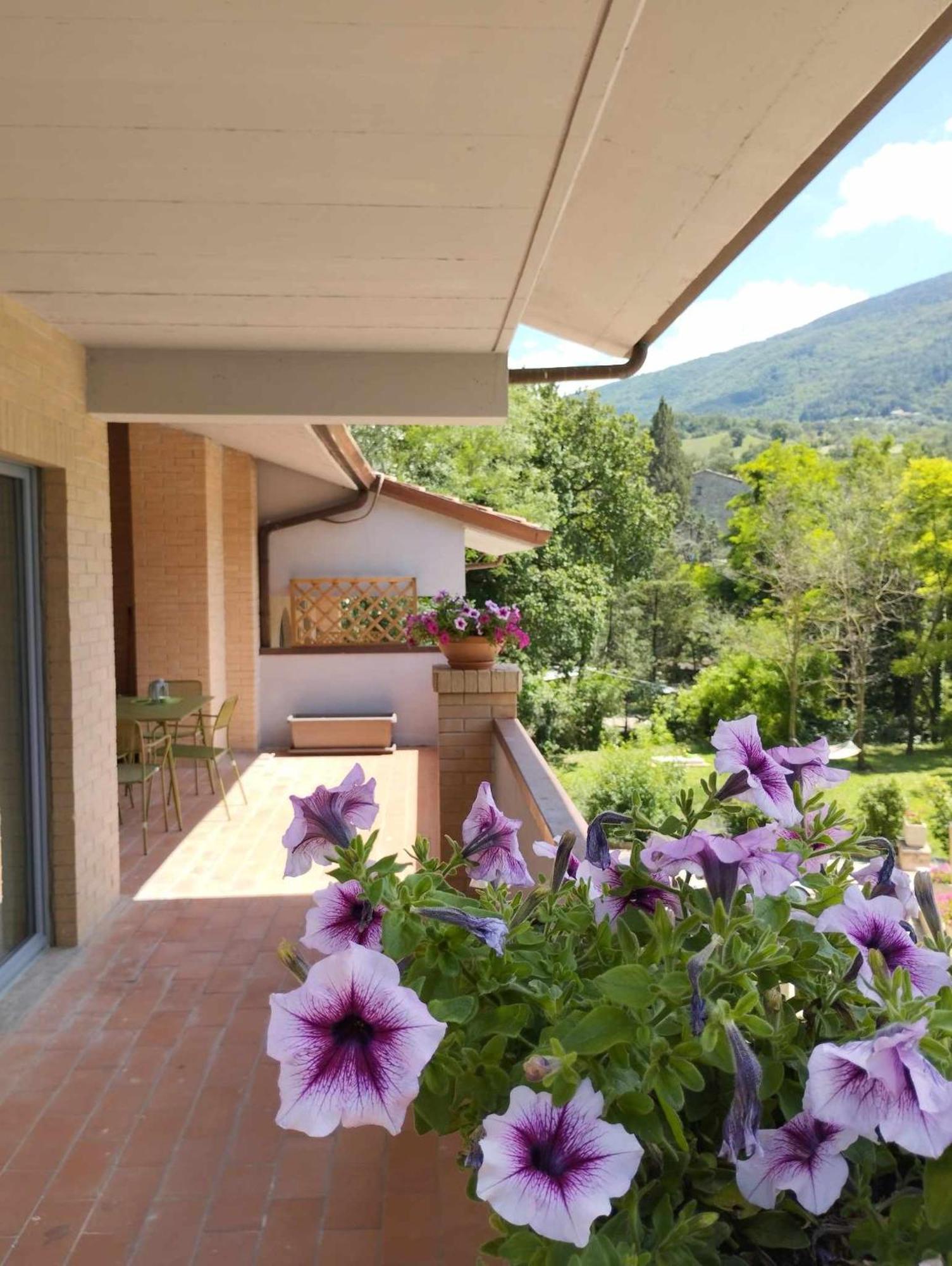 Pianpieve Nature & Relax Apartments Assisi Exteriör bild