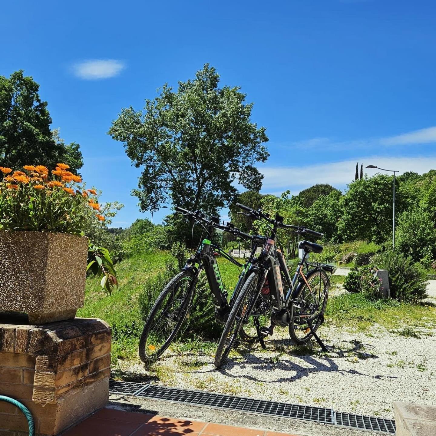 Pianpieve Nature & Relax Apartments Assisi Exteriör bild